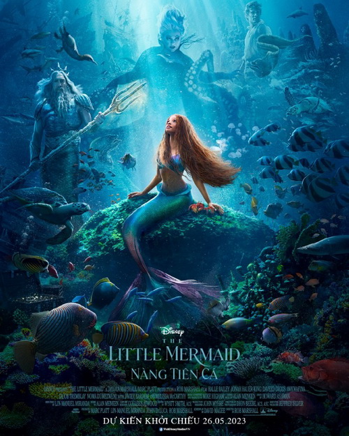 Download | Tải Phim | The Little Mermaid | Nàng Tiên Cá | 2023